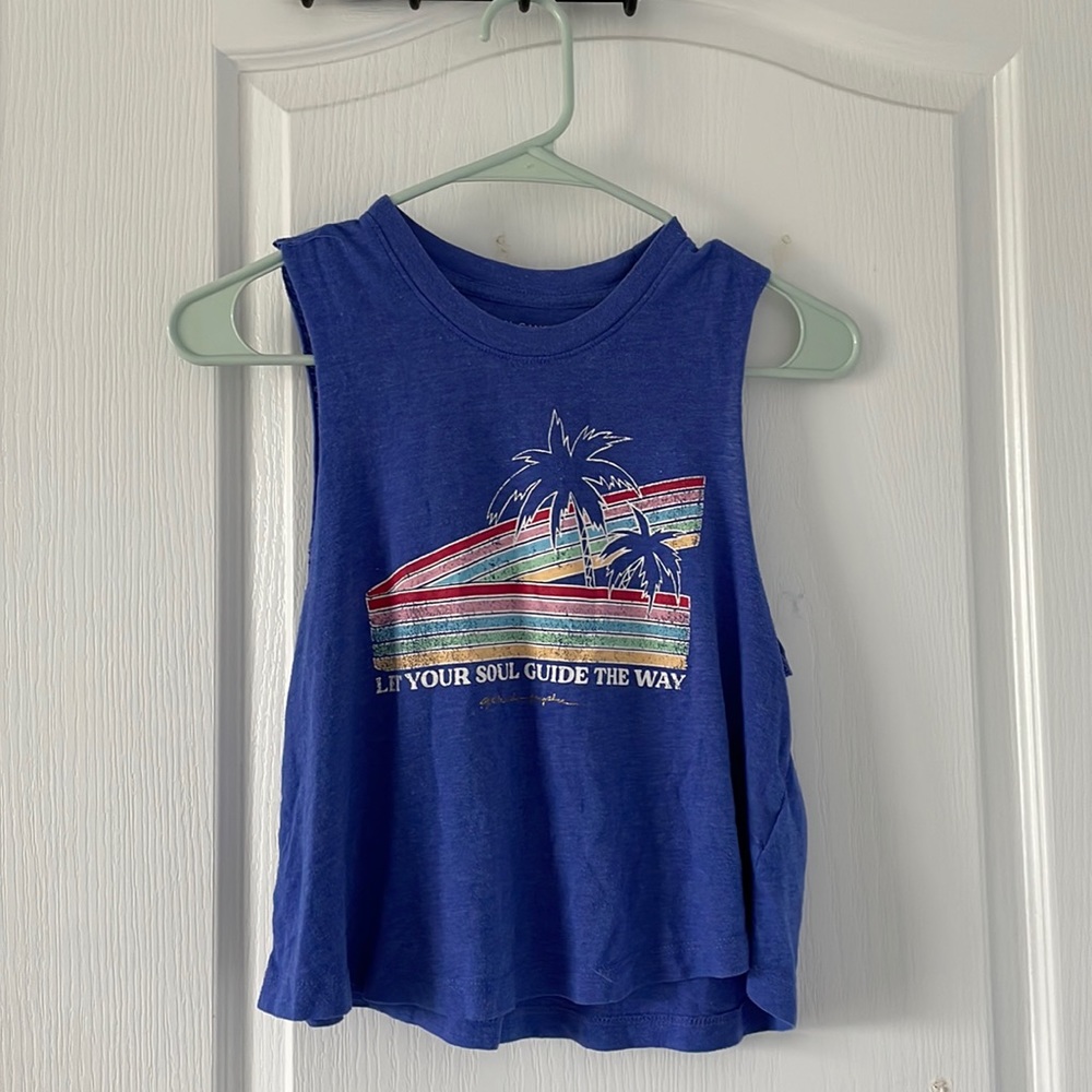 Spiritual Gangster Blue Palm Stripe Crop Tank